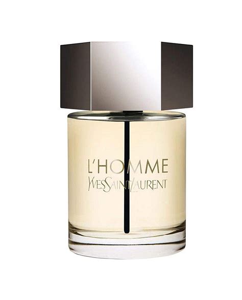 yves saint laurent lhomme eau de toilette 100ml spray|ysl l'homme for men.